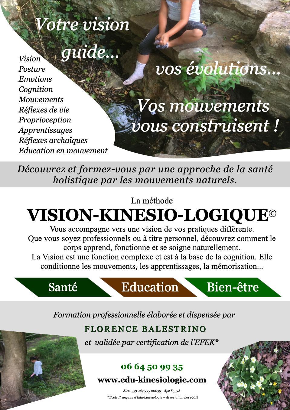 2025 03 flyer formation vision kinesio logique recto