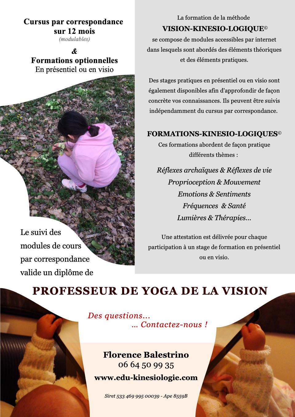 2025 03 flyer formation vision kinesio logique verso