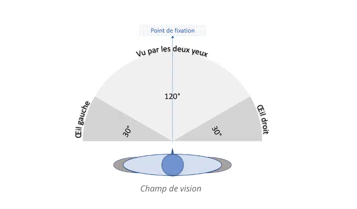 Champ visuel selon point de fixation devant